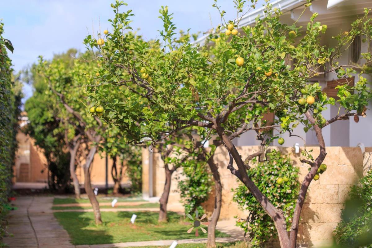 Agriturismo Tenuta Margherita Торре-Лапілло Екстер'єр фото